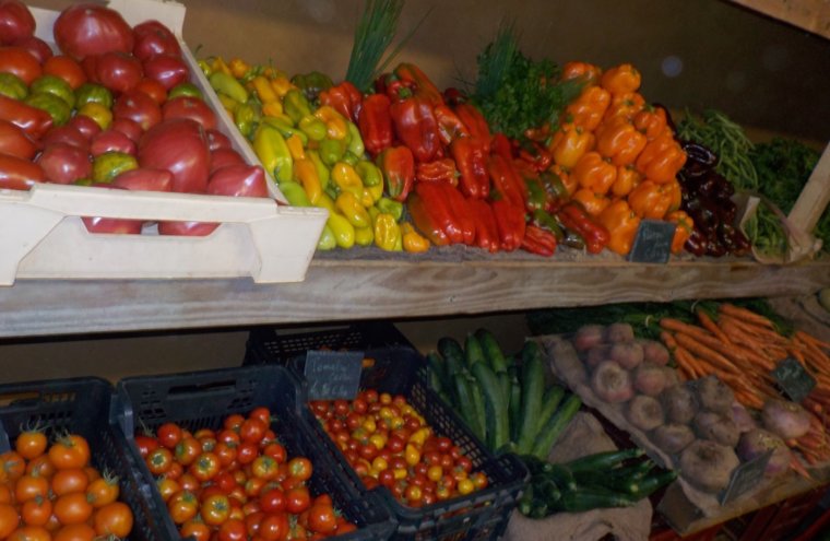 Ferme des Hameaux, maraîchage bio