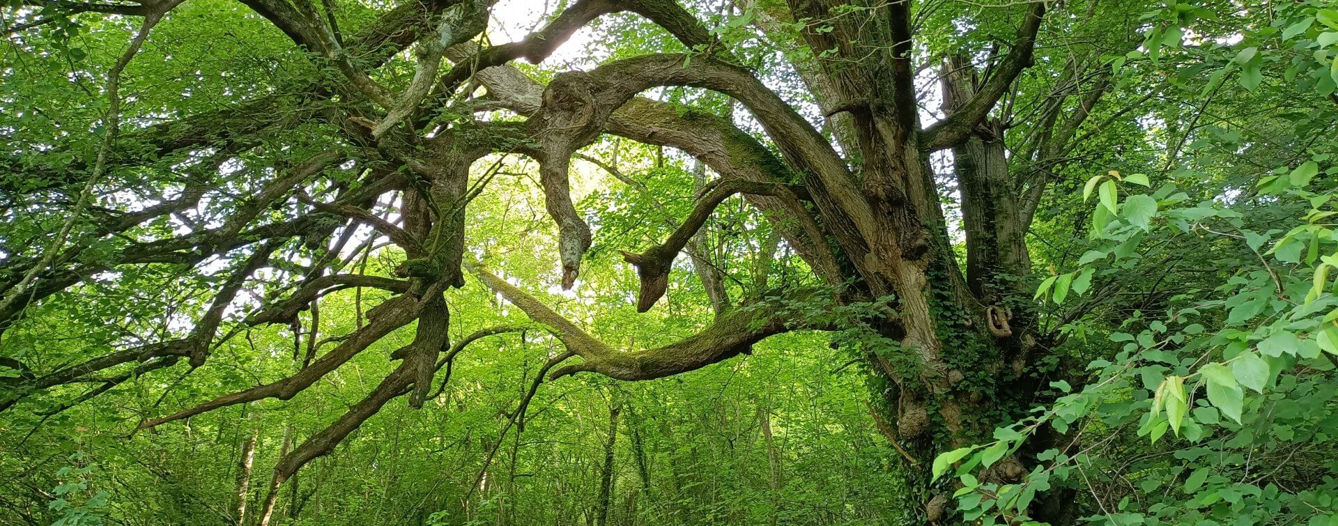 Retrouvez nous sur Facebook et Instagram